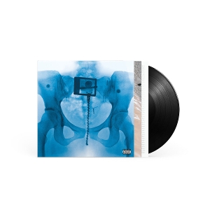 virgin-lp-lorde-_universal-lp-analog-__0001.JPG