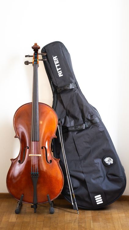cello-4-4-sebim-modell-js-instrument-quality-d-js-_0001.jpg