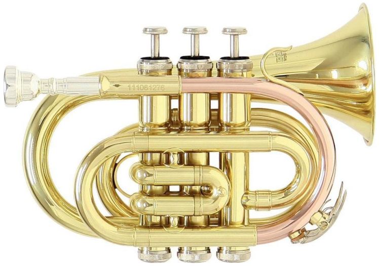 bb-cornet-roy-benson-taschencornet-pt-101-lackiert_0001.jpg