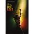 bob-marley-bob-marley-one-love-_0001.jpg