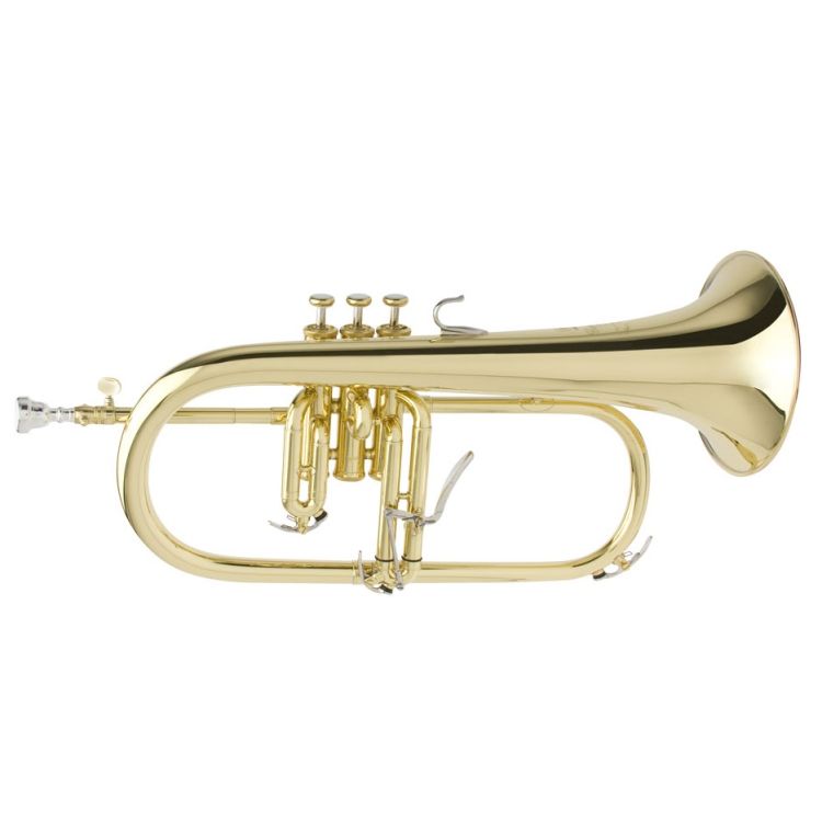 fluegelhorn-yamaha-yfh-8310z-lackiert-gold-_0001.jpg