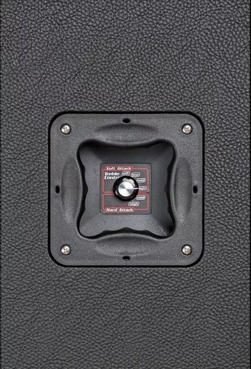 bassverstaerker-eich-amplification-modell-t300-cab_0004.jpg