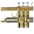 b-trompete-carol-brass-basic-lackiert-gold-_0008.jpg