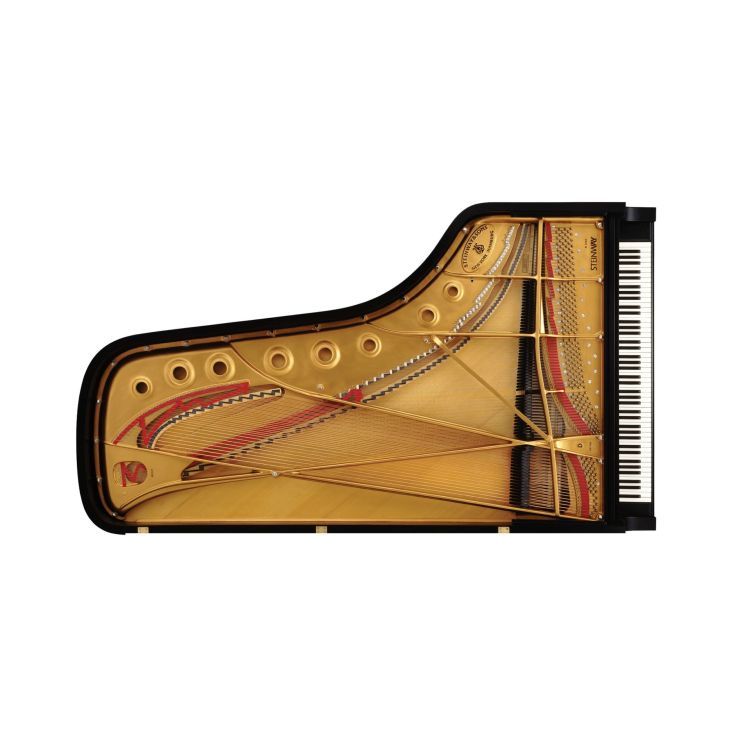 fluegel-steinway--sons-d-274-schwarz-poliert-messi_0003.jpg