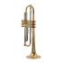 b-trompete-carol-brass-heavy-lackiert-_0003.jpg