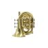 trompette-en-si-bemol-carol-brass-mini-laque-dore-_0001.jpg