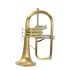 fluegelhorn-carol-brass-gold-satiniert-gold-_0001.jpg