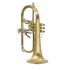 fluegelhorn-carol-brass-gold-satiniert-gold-_0003.jpg