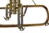 fluegelhorn-carol-brass-rose-lackiert-_0006.jpg