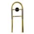 tenorposaune-carol-brass-basic-lackiert-gold-_0005.jpg