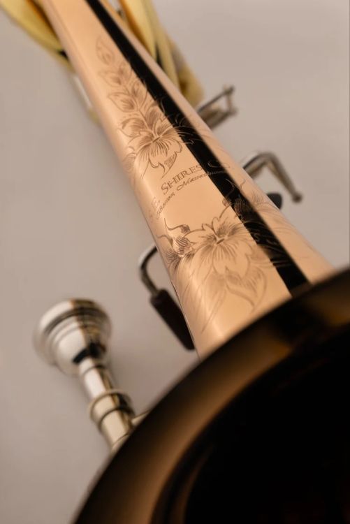bass-trombone-shires-tbbve-vintage-elkhart-lacquer_0003.jpg