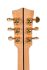 westerngitarre-sigma-modell-gjasg200-an-acoustic-e_0006.jpg