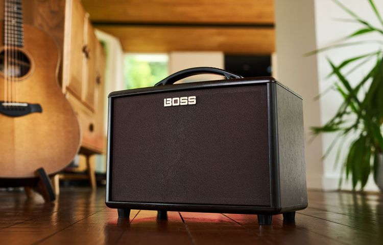 gitarrenverstaerker-boss-modell-ac-22lx-acoustic-c_0009.jpg