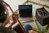 gitarrenverstaerker-boss-modell-ac-22lx-acoustic-c_0006.jpg
