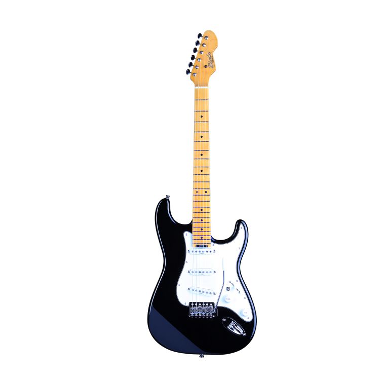 electric-guitar-blade-model-texas-pro-te-4-_0001.jpg