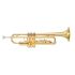 b-trompete-yamaha-ytr-2330-lackiert-gold-_0001.jpg