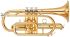 bb-cornet-yamaha-ycr-4330-gii-lackiert-gold-_0001.jpg