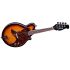 mandoline-kentucky-modell-km-300e-sunburst-_0003.jpg