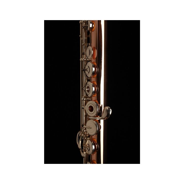 flute-muramatsu-9k-sr-g-s-rbeoh-gold-_0002.jpg