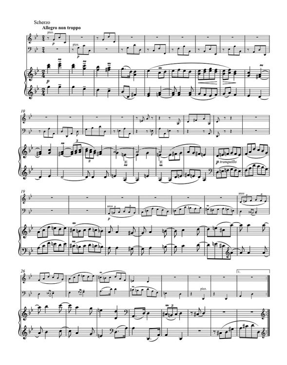 johannes-brahms-trio-nach-dem-sextett-op-36-sol-ma_0003.jpg