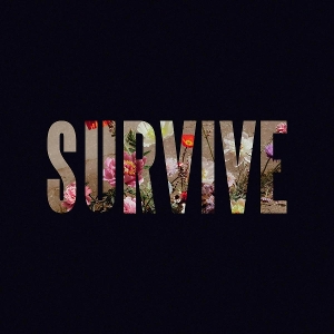 survive-ltd-12ep-clear-vinyl-capaldi-lewis_-_verti_0001.JPG