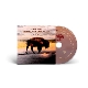 saving-grace-plant-robert-nonesuch-cd-_0002.JPG