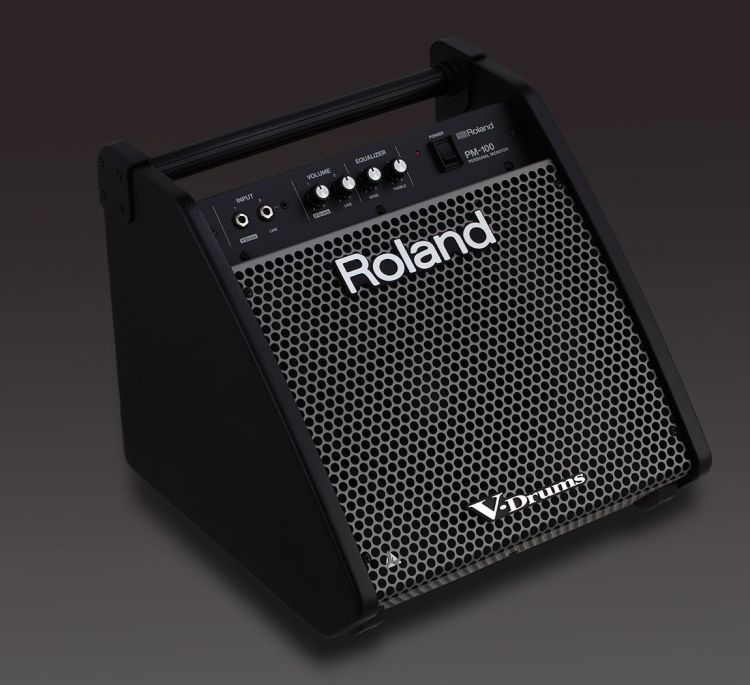 monitor-roland-model_0004.jpg