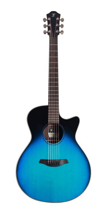 western-guitar-furch-model-spectra-plus-gc-er-eas-_0001.jpg