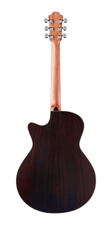 western-guitar-furch-model-spectra-plus-gc-er-eas-_0002.jpg