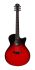 western-guitar-furch-model-spectra-plus-gc-er-eas-_0001.jpg