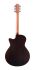 western-guitar-furch-model-spectra-plus-gc-er-eas-_0002.jpg