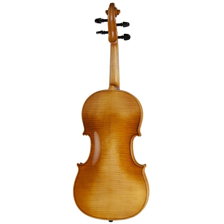 viola-4-4-roderich-paesold-modell-pa702e-14-35-5-c_0002.jpg