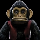 the-monkey-ost-breemen-edo-van-ada-lp-analog_0001.JPG