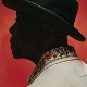 aint-done-with-the-blues-guy-buddy-lp-analog_0001.JPG