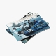 greengreen-street-version-cortis_-_interscope-cd_0001.JPG