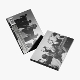 greengreen-studio-version-cortis_-_interscope-cd_0001.JPG