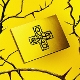 7th-year-a-moment-of-stillness-in-the-thorns-hun-t_0001.JPG
