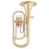 tenorhorn-arnolds--sons-abh-1221-lackiert-gold-_0001.jpg