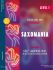 damian-maria-rabe-saxomania-level-1-3sax-_pst-note_0001.jpg
