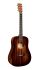 acoustic-guitar-martin-guitar-model-djre-streetmas_0001.jpg