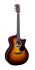 acoustic-guitar-martin-guitar-model-gpc-13e-burst-_0001.jpg