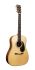 acoustic-guitar-martin-guitar-model-hg-28-natural_0001.jpg