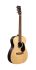 acoustic-guitar-martin-guitar-model-00-x2e-coco-na_0001.jpg