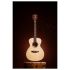 westerngitarre-lakewood-modell-m-41-edition-2023-n_0007.jpg