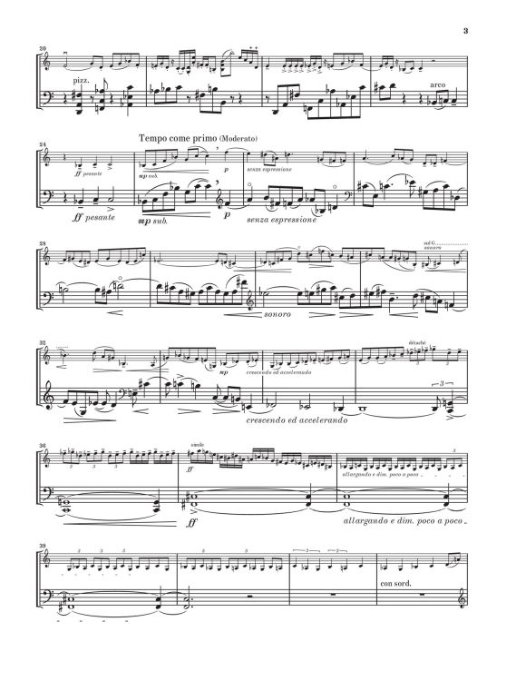 erwin-schulhoff-duo-vl-vc_0007.jpg