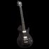 e-gitarre-vigier-modell-g-v-wood-ebony-fade-_0002.jpg