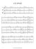 gert-bomhof-triopus-3perc_0002.jpg