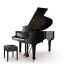 Flügel Steinway & Sons-0001.jpg