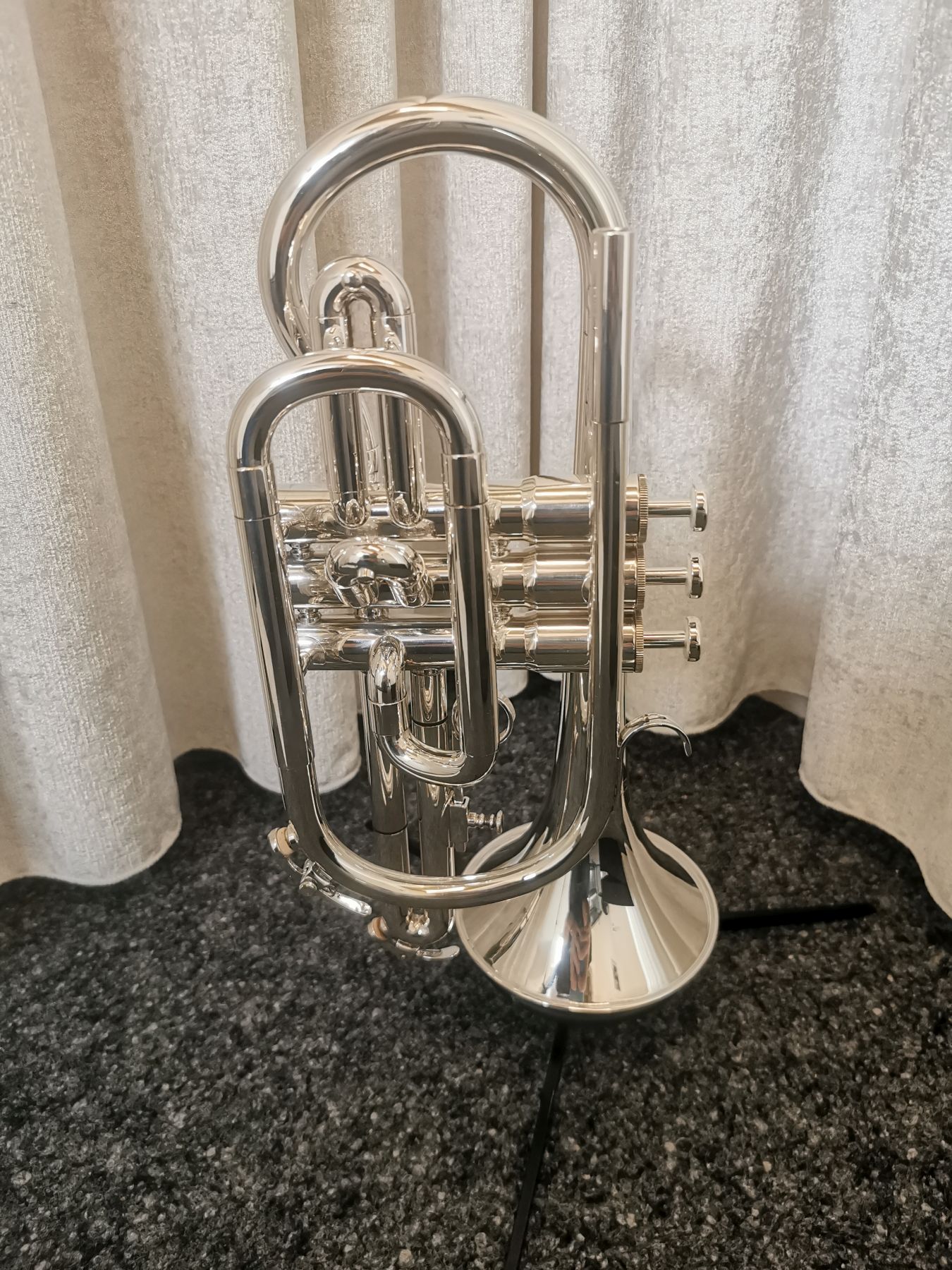 Occasion Cornet in Bb-0001.jpg