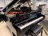 Bösendorfer GP-200 Flügel-0002.jpg